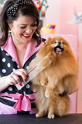 Andis Pet Steel Grooming Comb (65730) - Image 4