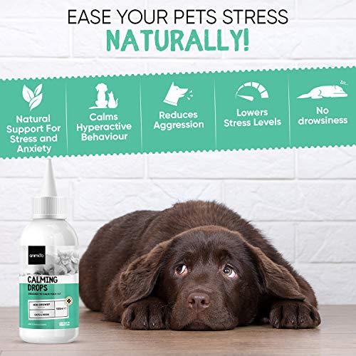 Calming Drops For Dogs & Cats - 100ml - Non-sedative Dog Calming Products for Fireworks, Travel Anxiety, Separation & Stress - Alternative to Hemp Oil or Calming Tablets for Dogs - Add to Food/Treats - Image 3