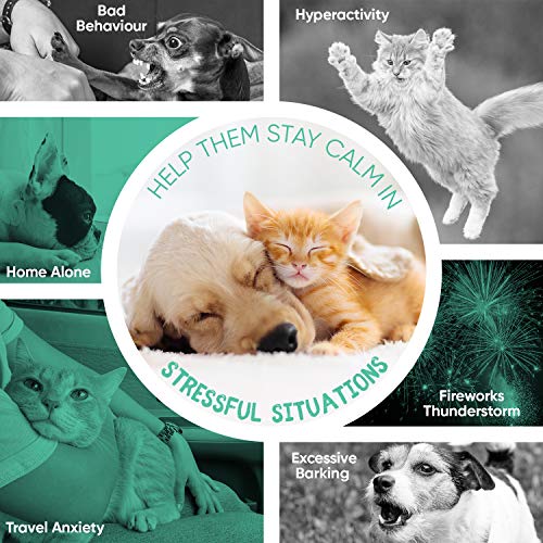 Calming Drops For Dogs & Cats - 100ml - Non-sedative Dog Calming Products for Fireworks, Travel Anxiety, Separation & Stress - Alternative to Hemp Oil or Calming Tablets for Dogs - Add to Food/Treats - Image 4