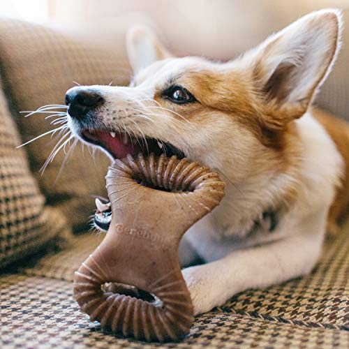 Benebone Real Bacon Durable Dental Dog Chew Toy for Aggressive Chewers, Made in USA (Updated Design) - Image 3