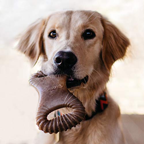 Benebone Real Bacon Durable Dental Dog Chew Toy for Aggressive Chewers, Made in USA (Updated Design) - Image 6