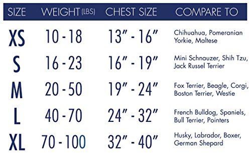 Bh Pet Gear American Kennel Club Calm Anti-Anxiety and Stress Relief Coat for Dogs - Image 6