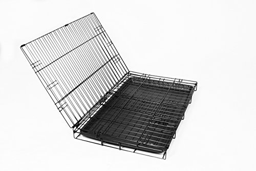 Carlson Secure and Compact Single Door Metal Dog Crate, Large - Image 4