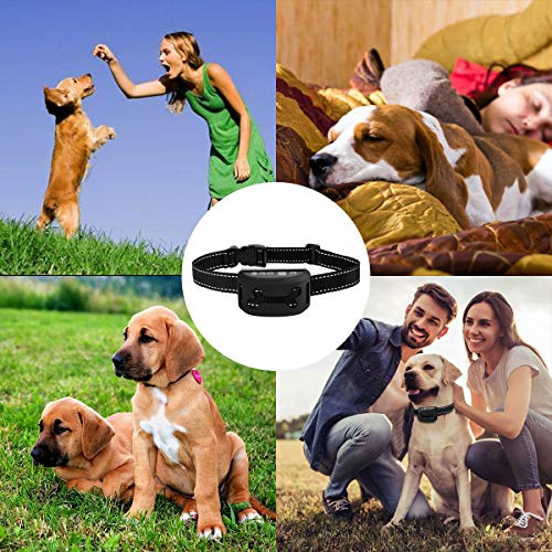 Dog Anti Bark Collar, Supernight Dog Barking Collars Stop Barking with Adjustable Belt Waterproof No Shock Harmless&Humane Training Control Strap, 7 Sensitivity Levels of Sound Vibration for S/M/L Dog - Image 5
