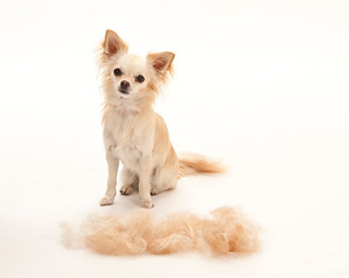 FURminator De-Shedding Tool for Large Dogs - Image 6