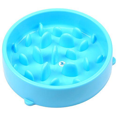 H&S Slow Feeder Dog Bowl - Slow Eating Dog Bowl - Interactive Feeder - Slow Down Feed Dog Cat Feeding Bowl - Pet Bloat Stop Dog Bowl - Image 3