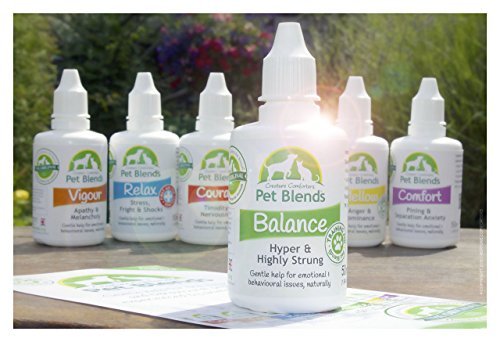 Highly Strung, Over Excitable, Frisky, Unruly and Training Animals. To Naturally Calm Dogs, Cats and Horses. The Original Animal Balance Blend Flower Essence 50ml - Image 3