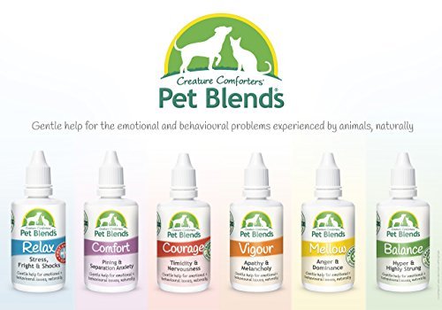 Highly Strung, Over Excitable, Frisky, Unruly and Training Animals. To Naturally Calm Dogs, Cats and Horses. The Original Animal Balance Blend Flower Essence 50ml - Image 6
