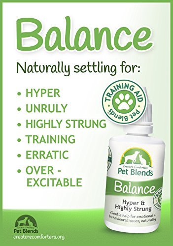 Highly Strung, Over Excitable, Frisky, Unruly and Training Animals. To Naturally Calm Dogs, Cats and Horses. The Original Animal Balance Blend Flower Essence 50ml - Image 7