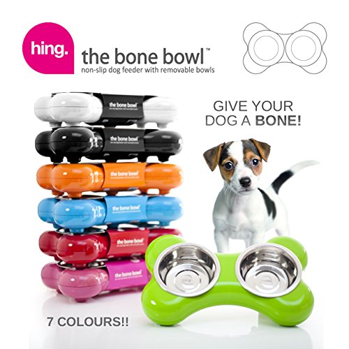 Hing Designs The Bone Bowl with Non Slip Rubber Feet and Dishwasher Safe Removable Stainless Steel Bowls, Blue - Image 4