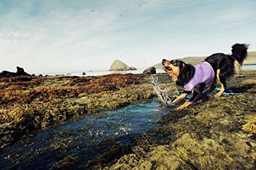 Hurtta Cooling Dog Vest, Blue, M - Image 10