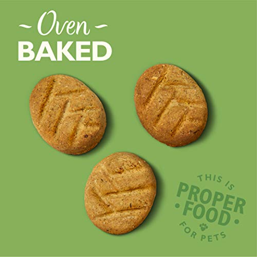 Lily's Kitchen Organic Biscuits for Dogs - Image 5