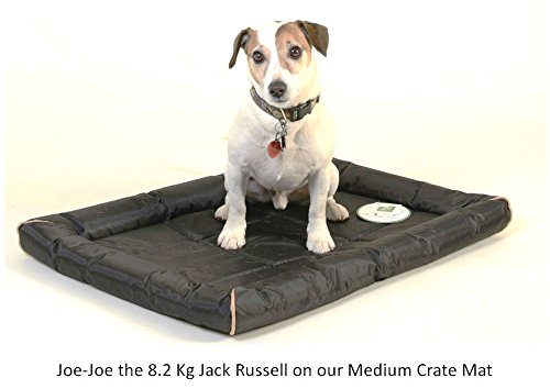 Loving Care Pet Products Ultra Supreme Crate, Kennel or Cage Mat, Dog Mat, Pet Mat, Cat Mat. Heavy Duty Materials and non-slip bottom. Water resistant. 5 to suit most pets. - Image 4