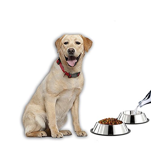 MLife Stainless Steel Dog Bowl with Rubber Base for Small and Medium Dogs, Pets Feeder Bowl and Water Bowl Perfect Choice (set of 2) - Image 7