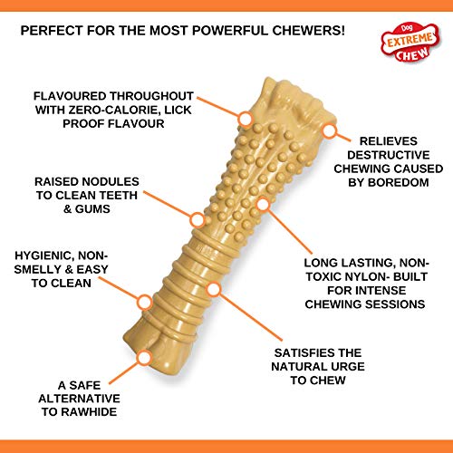 Nylabone Dura Chew Extreme Tough Dog chew Toy Bone, Allergen Free Peanut Butter Flavour, XL, for Dogs Over 23 kg Large for Extreme Chewers, Peanut Butter - Image 4