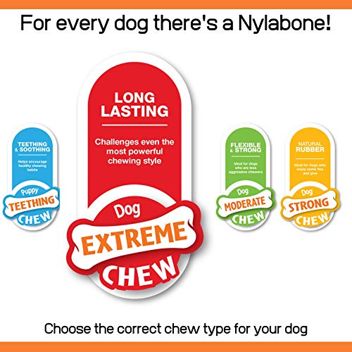 Nylabone Dura Chew Extreme Tough Dog chew Toy Bone, Allergen Free Peanut Butter Flavour, XL, for Dogs Over 23 kg Large for Extreme Chewers, Peanut Butter - Image 6