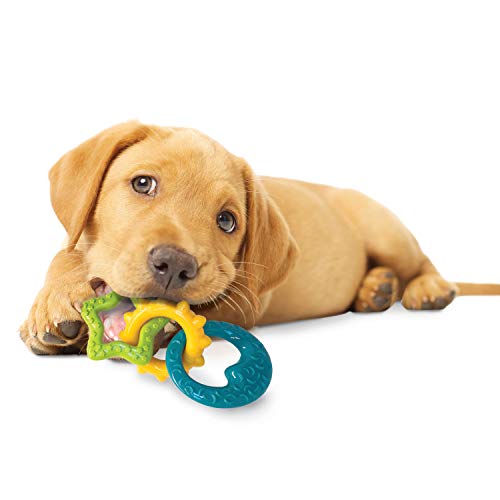 Nylabone Gentle Puppy Dog Teething Chew Toy Rings, Bacon Flavour, Small, for Puppies Up to 11 kg - Image 3