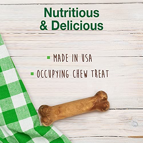 Nylabone Healthy Edibles DHA Omega-3 Puppy Chews, Lamb and Apple Flavour, Pack of 4 - Image 3