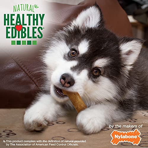 Nylabone Healthy Edibles DHA Omega-3 Puppy Chews, Lamb and Apple Flavour, Pack of 4 - Image 6