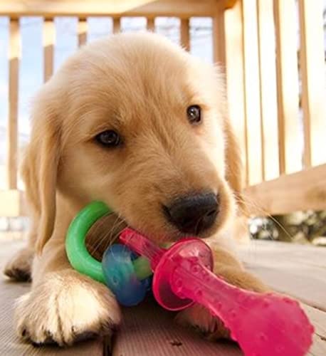 Nylabone Puppy Dog Teething Chew Toy Pacifier, Bacon Flavour, Extra Small, for Puppies Up to 7 kg, Blue/Pink - Image 3