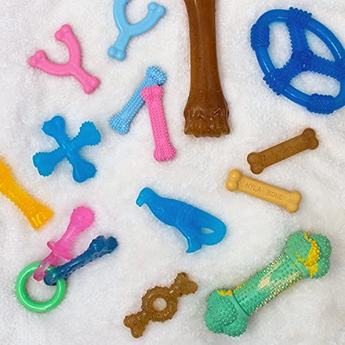 Nylabone Puppy Dog Teething Chew Toy Pacifier, Bacon Flavour, Extra Small, for Puppies Up to 7 kg, Blue/Pink - Image 4