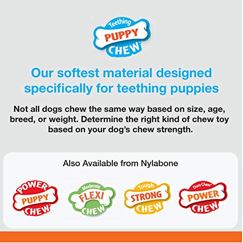 Nylabone Puppy Dog Teething Chew Toy Pacifier, Bacon Flavour, Extra Small, for Puppies Up to 7 kg, Blue/Pink - Image 6