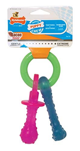 Nylabone Puppy Dog Teething Chew Toy Pacifier, Bacon Flavour, Extra Small, for Puppies Up to 7 kg, Blue/Pink - Image 10