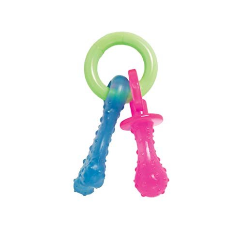 Nylabone Puppy Dog Teething Chew Toy Pacifier, Bacon Flavour, Extra Small, for Puppies Up to 7 kg, Blue/Pink - Image 2