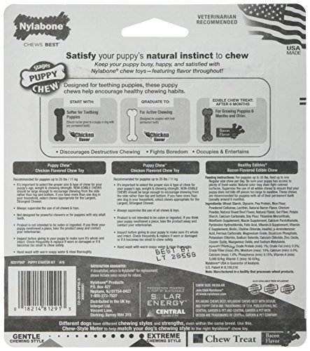 Nylabone Puppy Starter Kit - Image 3