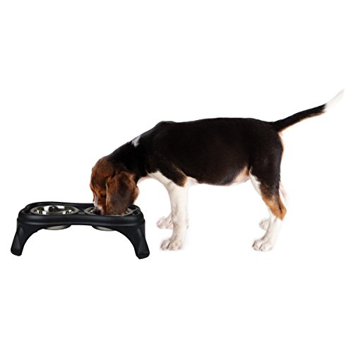 Our Pets Right Height Cafe Feeder, 4-Inches - Image 4