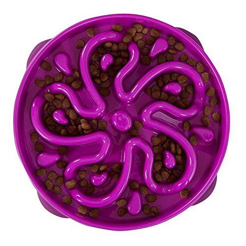 Outward Hound Kyjen 51001 Fun Feeder Slow Feed Interactive Bloat Stop Dog Bowl - Image 3