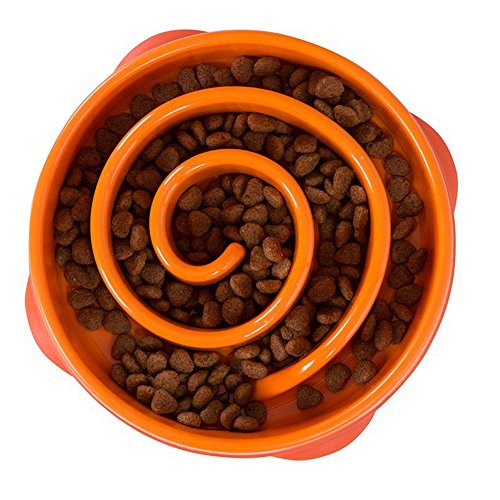 Outward Hound Kyjen 51001 Fun Feeder Slow Feed Interactive Bloat Stop Dog Bowl - Image 4