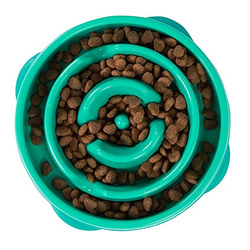 Outward Hound Kyjen 51001 Fun Feeder Slow Feed Interactive Bloat Stop Dog Bowl - Image 5