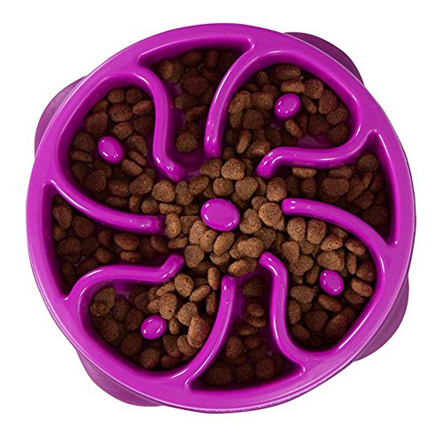 Outward Hound Kyjen 51001 Fun Feeder Slow Feed Interactive Bloat Stop Dog Bowl - Image 6