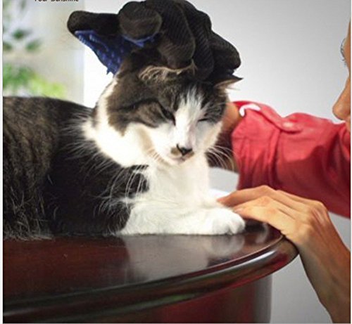 PROREZULT Pet Grooming Glove Hair Removal RIGHT AND LEFT HAND 2 GLOVES FOR DOG OR CAT - RIGHT & LEFT HAND SUPPLIED - Image 6