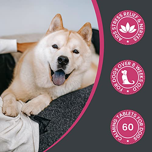 Pawbits Calming Tablets Supplement for Anxious & Hyperactive Dogs Calms Relaxes & Non-Sedative Dog Calming Tablets Fireworks, Behavioural Issues, Travel & Vet Visits Natural Calm Aid - Image 7