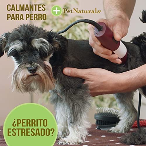 Pet Naturals Calming for Dogs - Image 3
