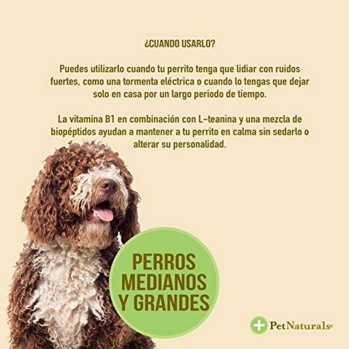 Pet Naturals Calming for Dogs - Image 5