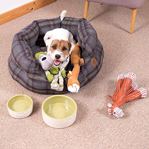 Petface Tweed - Image 6