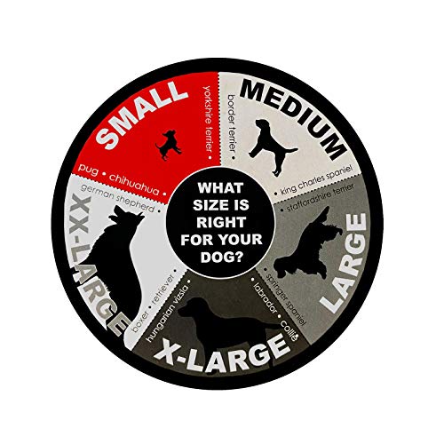 Petface Tweed - Image 7