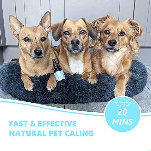 Pets Purest 100% Natural Calm PRO Dog Anxiety Calming Aid Supplement for Dogs Cats Horses Rabbits Birds Pets. Anxiety & Stress When Home Alone, Aggression, Loud Noises, Fireworks & Kennels 50ml - Image 5