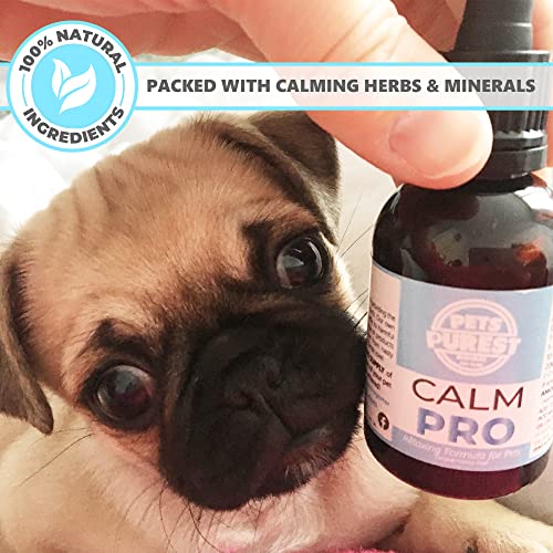 Pets Purest 100% Natural Calm PRO Dog Anxiety Calming Aid Supplement for Dogs Cats Horses Rabbits Birds Pets. Anxiety & Stress When Home Alone, Aggression, Loud Noises, Fireworks & Kennels 50ml - Image 7