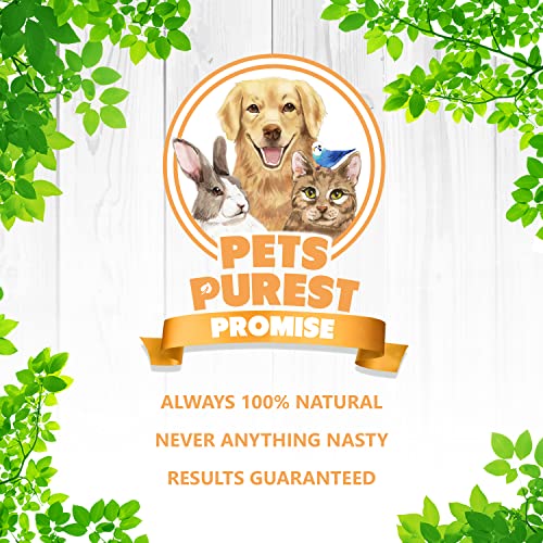 Pets Purest 100% Natural Calm PRO Dog Anxiety Calming Aid Supplement for Dogs Cats Horses Rabbits Birds Pets. Anxiety & Stress When Home Alone, Aggression, Loud Noises, Fireworks & Kennels 50ml - Image 8