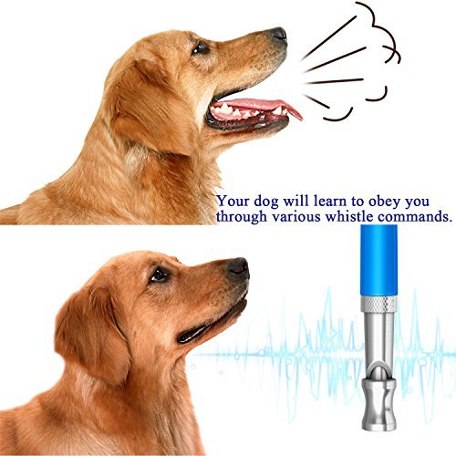 Ploopy Dog Training Whistle, Adjustable Ultrasonic High Pitch Frequency, Ultimate Dog Training Kit, Dog Clicker and Ultrasonic Dog Whistle Combo, How to Train Your Pet To Stop Barking Blue - Image 7