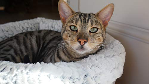 ROSEWOOD WARM FLEECE LINED PLUSH SOFA - Image 9