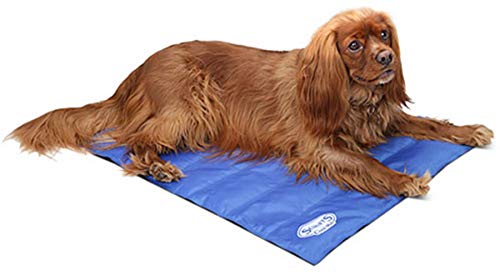 Scruffs Self-Cooling Mat (M) Blue - Image 4