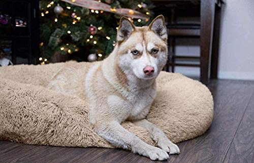 Segle Deluxe Soft Washable Dog Pet Warm Cuddle Bed Cushion Comfortable Puppy Kitten Pet Cat Pad Dog&Cat Cave 40 * 40CM (Gray) - Image 7