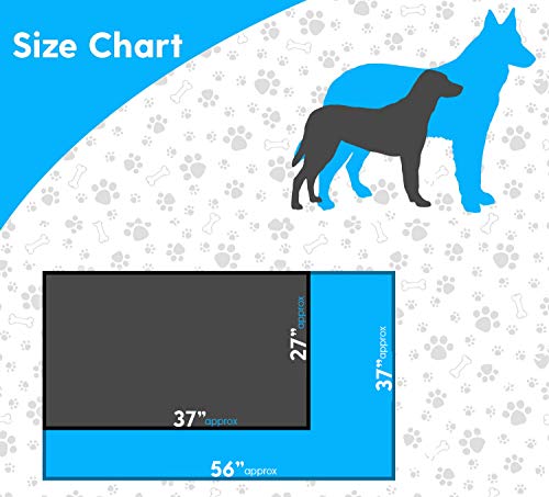 Trading Innovation Dog Bed Supplies Removable Zip Cover with Inner Cushion | Soft & Cosy Cushion | Cute Design | Easy to Clean & Machine Washable Pet Bed Pillow - Image 5