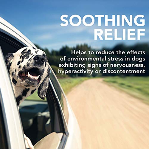 Vet's Best Comfort Calm Calming Dog Supplements | Dog Calming Aid | Promotes Relaxation and Balanced Behaviour | 60 Chewable Tablets - Image 4