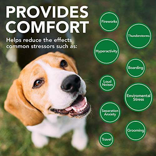 Vet's Best Comfort Calm Calming Dog Supplements | Dog Calming Aid | Promotes Relaxation and Balanced Behaviour | 60 Chewable Tablets - Image 7